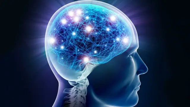 सुबह उठकर ये काम करने से तेज होता है दिमाग, बेहतर होती है याददाश्त