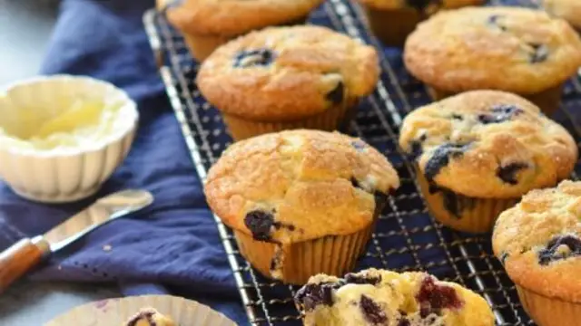 अमेरिकन ब्लूबेरी मफिन्स ( American BlueBerry Muffins Recipe )