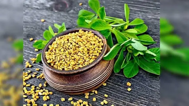 Methi Leaves Benefits: मेथी के पत्तों का सर्दियों में जरूर करें सेवन, कभी नहीं होगी ये समस्याएं