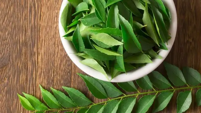 Benefits of Curry Leaves: हर बीमारी का इलाज है करी पत्ता, जानिए इसके अनोखे फायदे