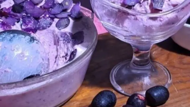 Jamun Ice-Cream: गर्म मैं गर्मी का पारा बढ़ता ही जा रहा हैं, ऐसे में बच्चों संग छुट्टियों में बनाएं जामुन आइसक्रीम! जाने रेसिपी