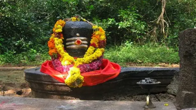 Mahashivratri 2023 Puja: शिवलिंग पर कितने बेलपत्र चढ़ाना होता है शुभ, जानें किन बातों का रखें खास ध्यान