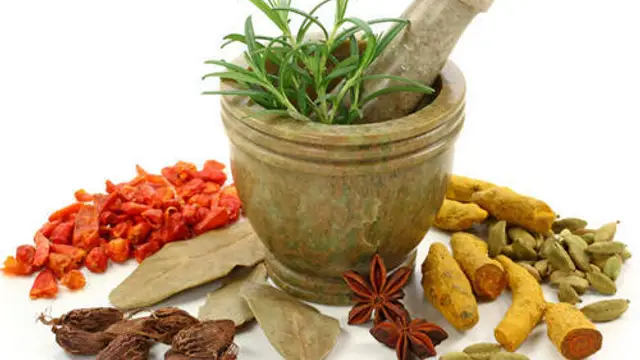 प्रकृति में मोजूद ऐसी जड़ी बूटियां जो इस भयंकर सर्दी में आपको बीमारियों से बचाएगी, जानिए कौन- सी है