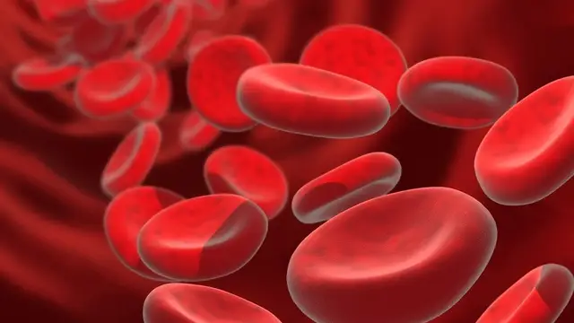 Health Tips: आपको भी है एनीमिया की समस्या? तो खाएं ये चीजें एक महीने में ही दिखेगा असर