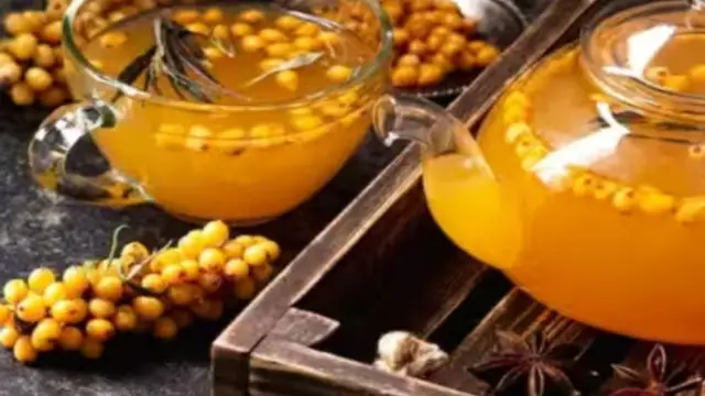 Healthy Tea Recipe: रहना चाहते हैं एकदम फिट, तो आज से ही पीना शुरू करें हनीबश टी, जानें रेसिपी