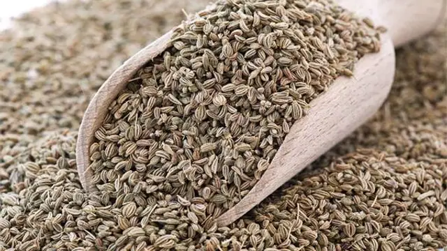 Health Tips: अजवाइन खाने से इन 4 समस्याओं से मिलेगी राहत, रात को सोने से पहले खाएं