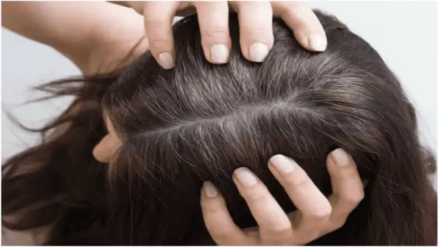 Hair care Tips: बालों में तेल लगाने का क्या है सही समय? जानिए तेल लगाने का सही तरीका