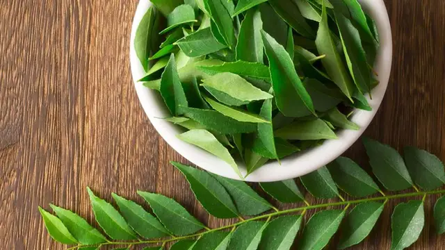 Benefits of Curry Leaves For Hair: बालों के लिए बेहद फायदेमंद है करी पत्ता, ऐसे करें इस्तेमाल