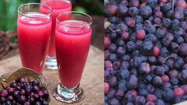 फालसा शरबत रेसिपी ( Falsa Sharbat Recipe )