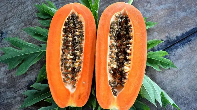 Papaya Khane Ke Fayde: पपीता को जरूर करें अपनी डाइट में शामिल, इसके हैं कई अद्भुत फायदे
